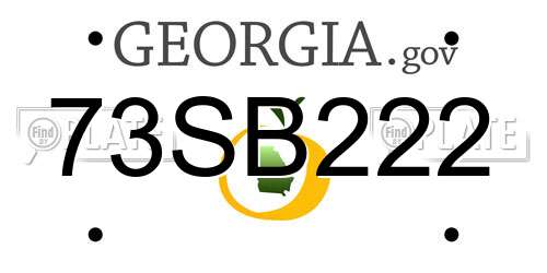 73SB222 Georgia License Plate