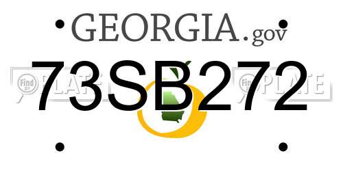 73SB272 Georgia License Plate
