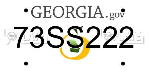 73SS222 Georgia License Plate