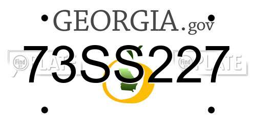 73SS227 Georgia License Plate
