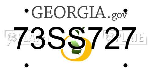 73SS727 Georgia License Plate