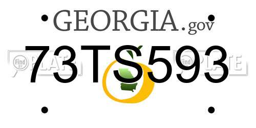 73TS593 Georgia License Plate