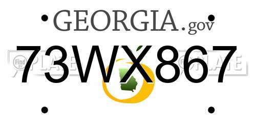73WX867 Georgia License Plate