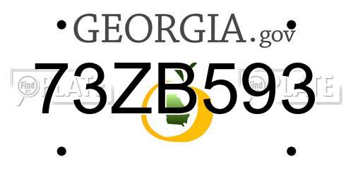 73ZB593 Georgia License Plate