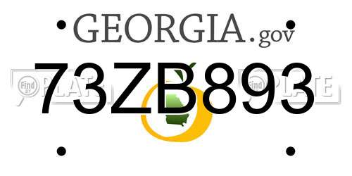73ZB893 Georgia License Plate