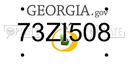 73ZI508 Georgia License Plate