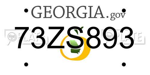 73ZS893 Georgia License Plate