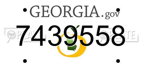 7439558 Georgia License Plate