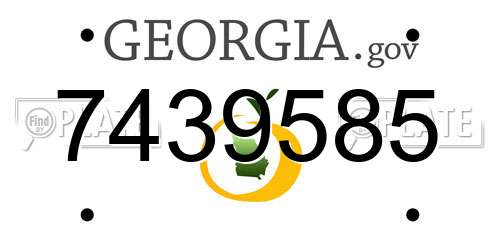 7439585 Georgia License Plate