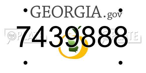 7439888 Georgia License Plate
