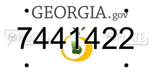 7441422 Georgia License Plate