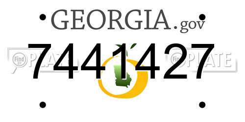 7441427 Georgia License Plate