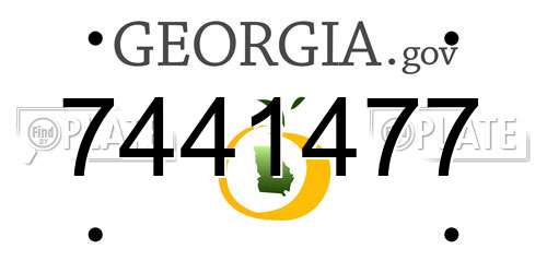 7441477 Georgia License Plate