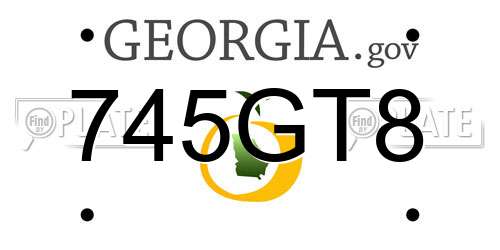 745GT8 Georgia License Plate