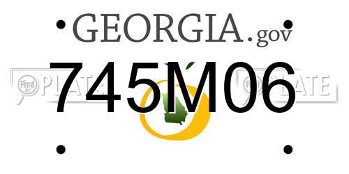 745M06 Georgia License Plate