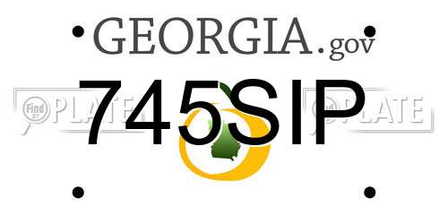 745SIP Georgia License Plate