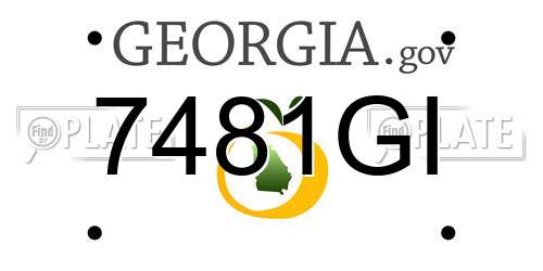 7481GI Georgia License Plate