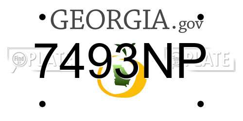 7493NP Georgia License Plate
