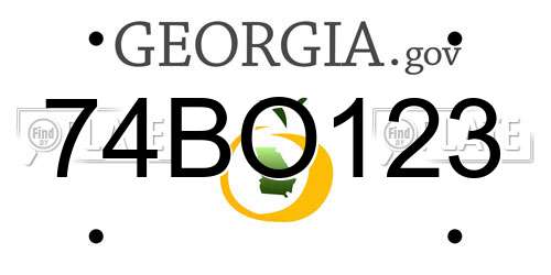74BO123 Georgia License Plate