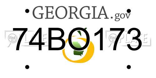 74BO173 Georgia License Plate