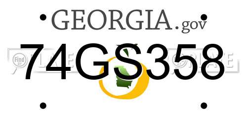74GS358 Georgia License Plate