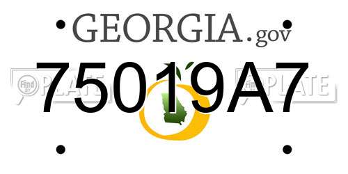75019A7 Georgia License Plate