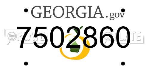 7502860 Georgia License Plate