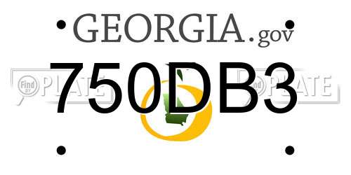 750DB3 Georgia License Plate