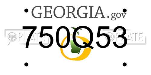 750Q53 Georgia License Plate