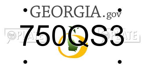 750QS3 Georgia License Plate