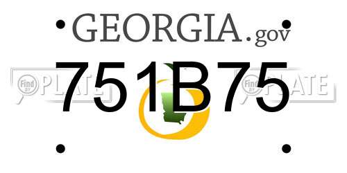 751B75 Georgia License Plate