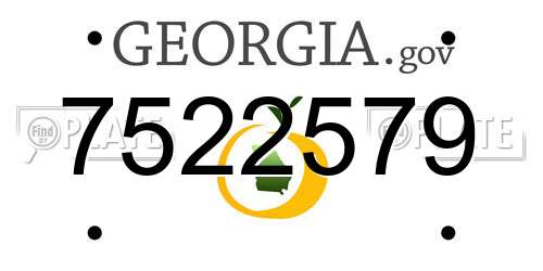 7522579 Georgia License Plate