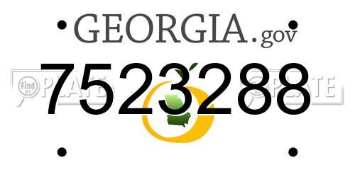 7523288 Georgia License Plate