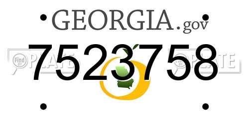 7523758 Georgia License Plate
