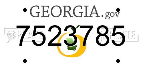 7523785 Georgia License Plate