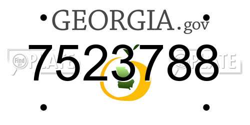 7523788 Georgia License Plate