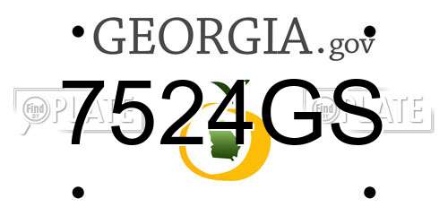 7524GS Georgia License Plate