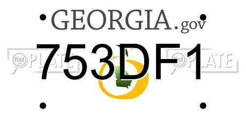 753DF1 Georgia License Plate