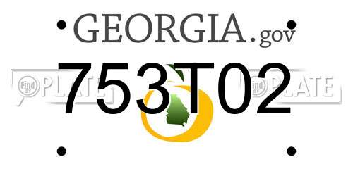 753T02 Georgia License Plate