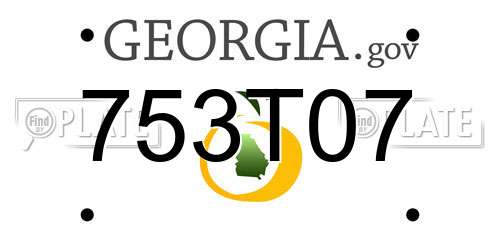 753T07 Georgia License Plate