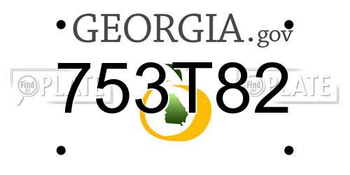 753T82 Georgia License Plate