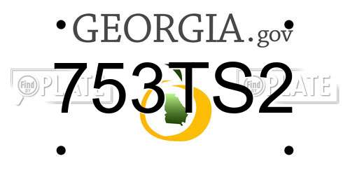 753TS2 Georgia License Plate