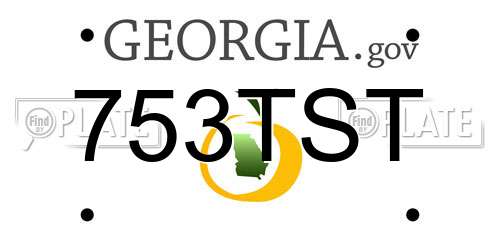 753TST Georgia License Plate