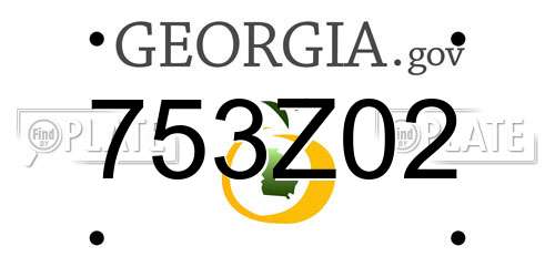 753Z02 Georgia License Plate