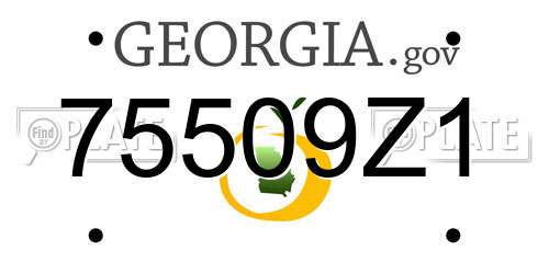 75509Z1 Georgia License Plate