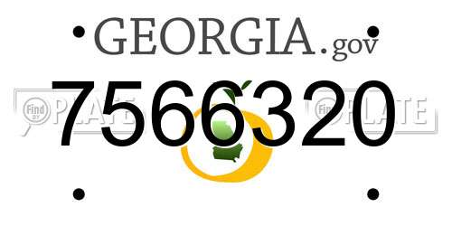 7566320 Georgia License Plate