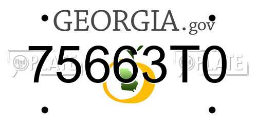 75663T0 Georgia License Plate