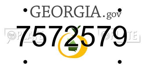 7572579 Georgia License Plate