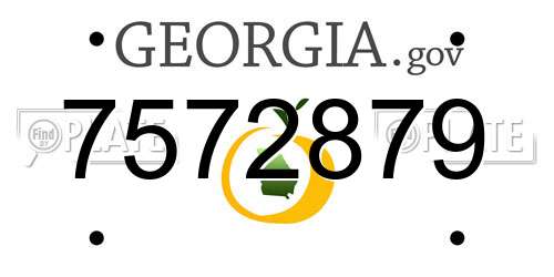 7572879 Georgia License Plate
