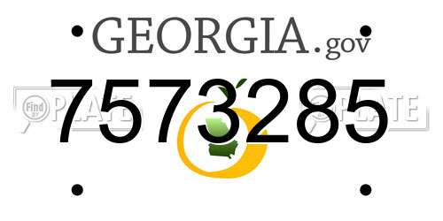 7573285 Georgia License Plate